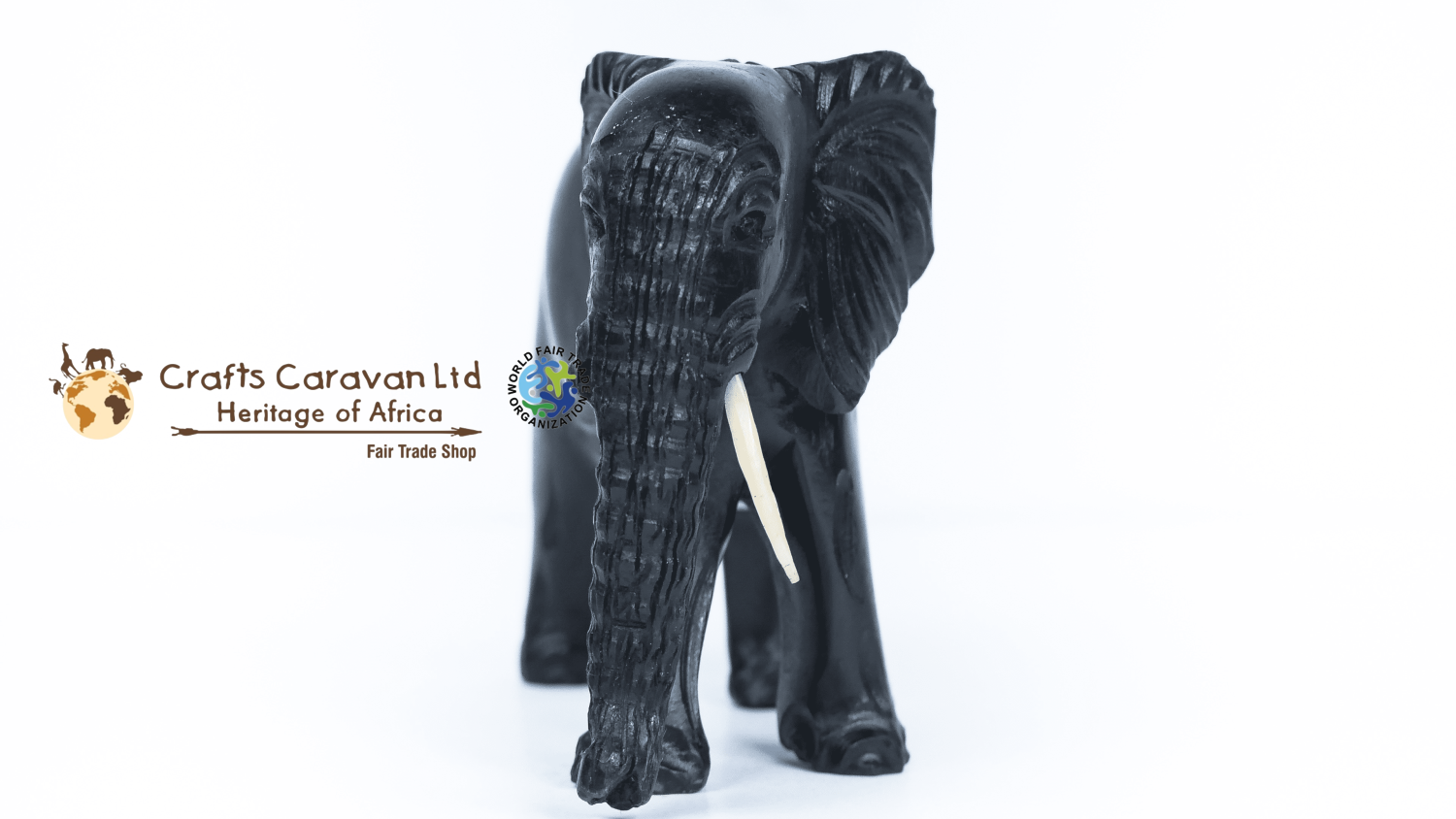 Elephant Trunk Down